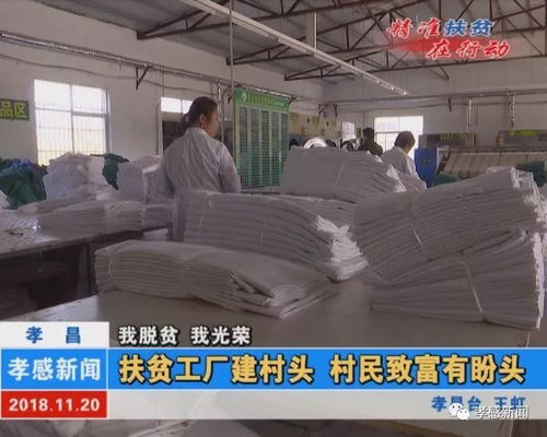 我脫貧 我光榮 孝昌 扶貧工廠建村頭 村民致富有盼頭