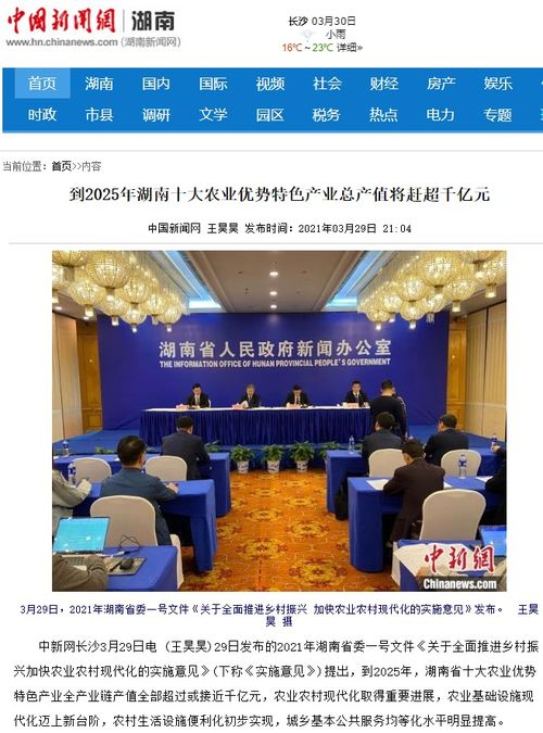 觀察丨媒體聚焦省委一號文件,哪些關鍵詞出現頻率最高