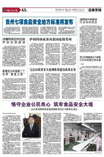 湖南省休閑食品 行業(yè)協(xié)會(huì)成立