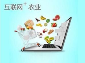 趙朝政創(chuàng)建大理農(nóng)副產(chǎn)品網(wǎng).手機(jī),打造農(nóng)副產(chǎn)品行業(yè)領(lǐng)軍平臺(tái)
