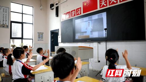 數字鄉村 開啟鄉村振興新動能