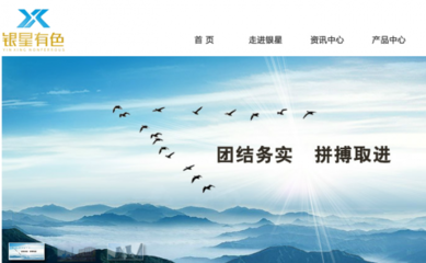 湖南省桂陽銀星有色冶煉與本司簽約網站設計項目
