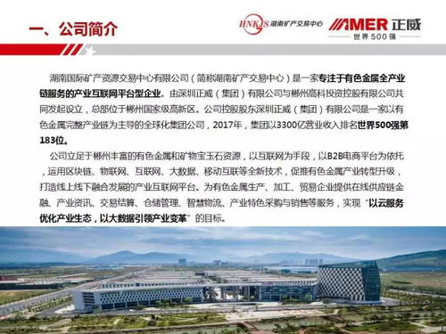 郴州又有大動(dòng)作了,峰會(huì)大咖說 我們這樣要構(gòu)建中國銀都白銀產(chǎn)業(yè)互聯(lián)網(wǎng)平臺(tái)