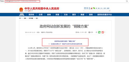 銅陵一女子花18萬克隆小狗 銅陵將開通新公交線路 銅官區(qū)又有21所校外培訓機構(gòu)終止辦學