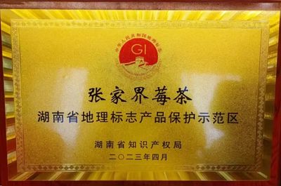 張家界市政府門戶網站 - 區縣聯播