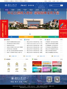 萬戶網絡設計制作的湖南工業大學網站