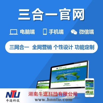 3合1網站建設價格-湖南3合1網站建設電話-企業3合1網站建設哪家好