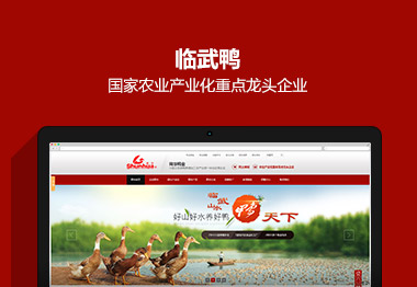 深度網提供企業營銷型網站建設,營銷型手機網站建設